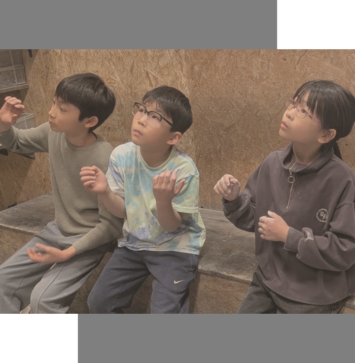 yume takasi toudai 1